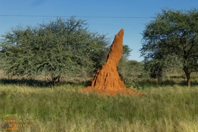 On the road to Khorikas