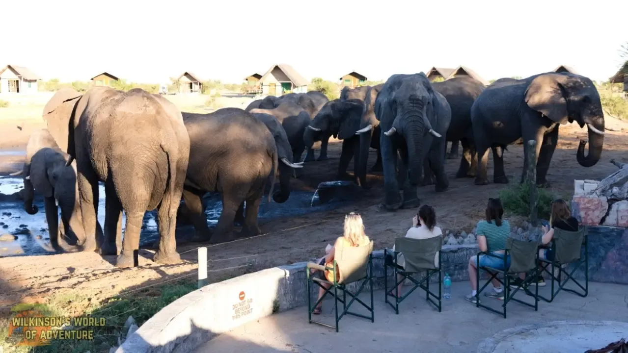 Visitors are very close