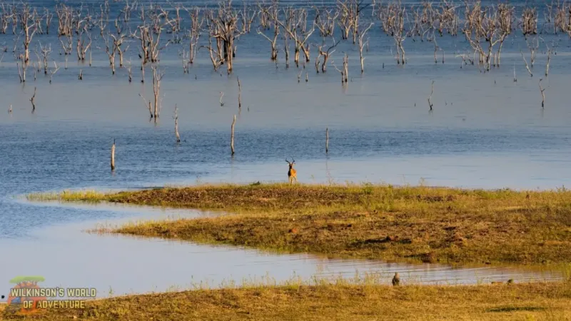 Lake Kariba at Matusadona