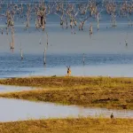 Lake Kariba at Matusadona