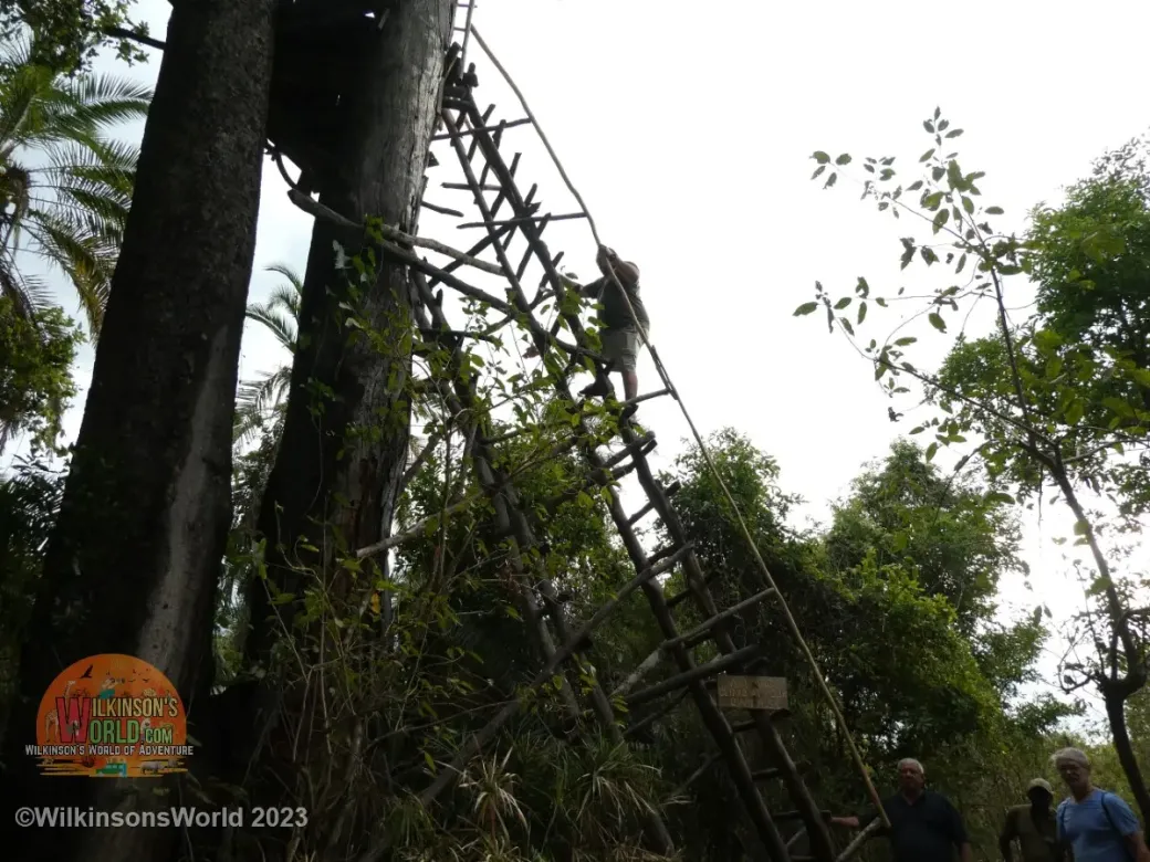 Climbing-BBC-Platform
