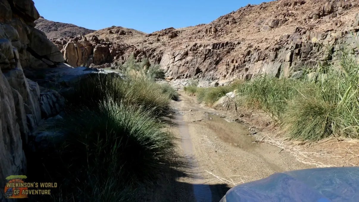 Road to De Hoop