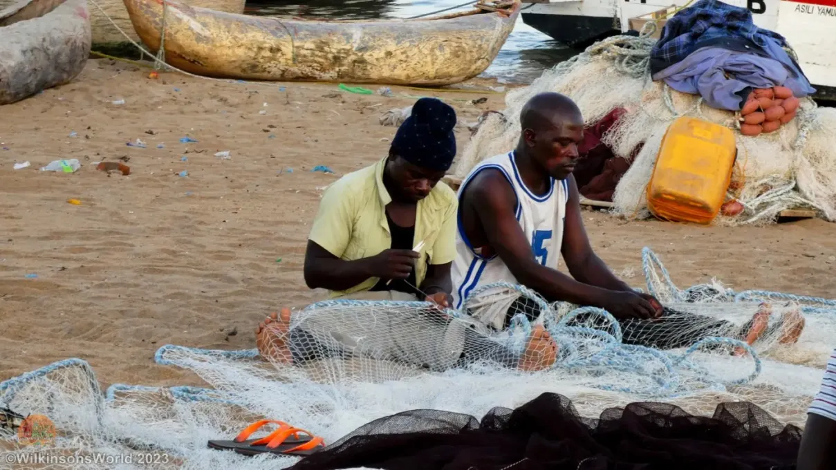 Repairing-Nets